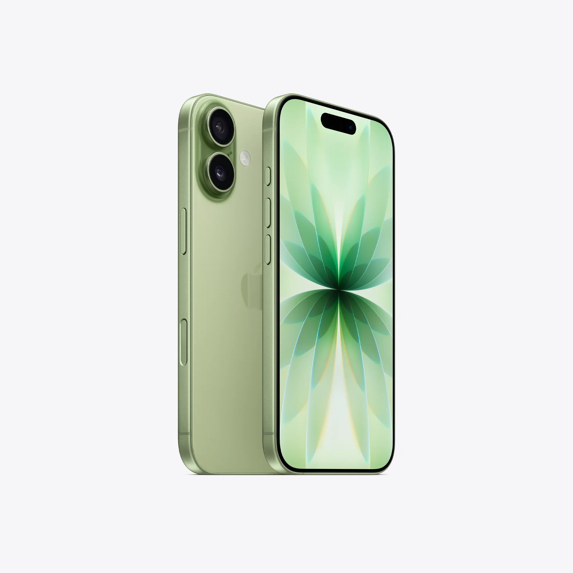 Apple iPhone 17 256Gb Sim+eSim Sage (Global)